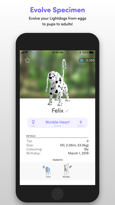 Lightdogs: Unplug & Focus screenshot 1