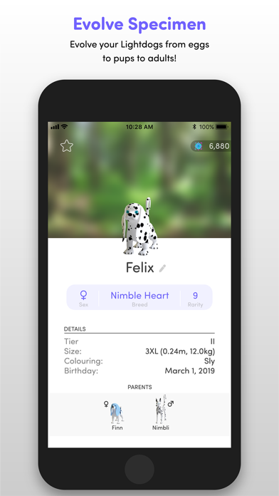 Lightdogs: Unplug & Focus screenshot 2