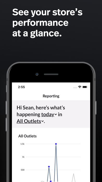 Lightspeed Reporter (X) screenshot 4