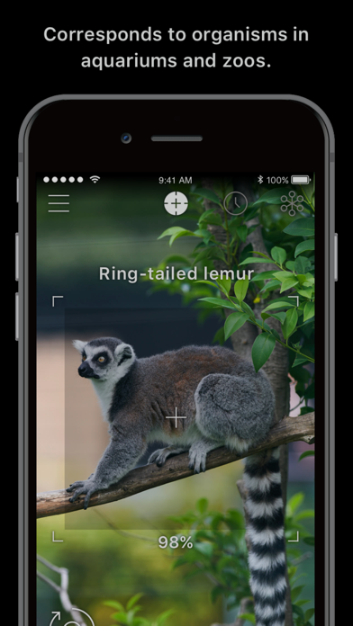 LINNÉ LENS - AI Encyclopedia screenshot 5