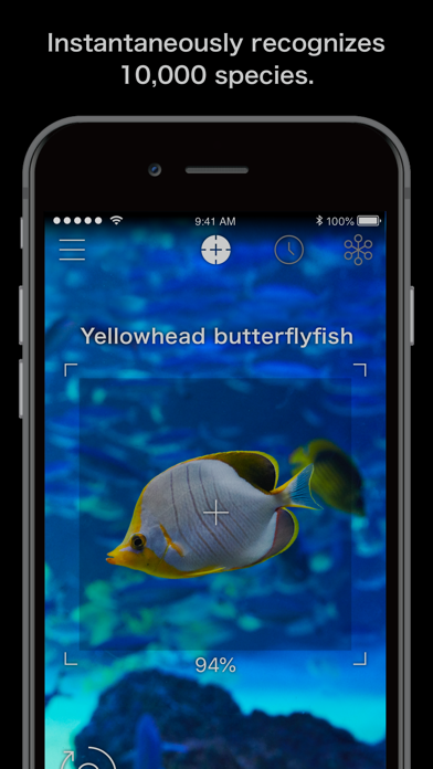 LINNÉ LENS - AI Encyclopedia screenshot 6