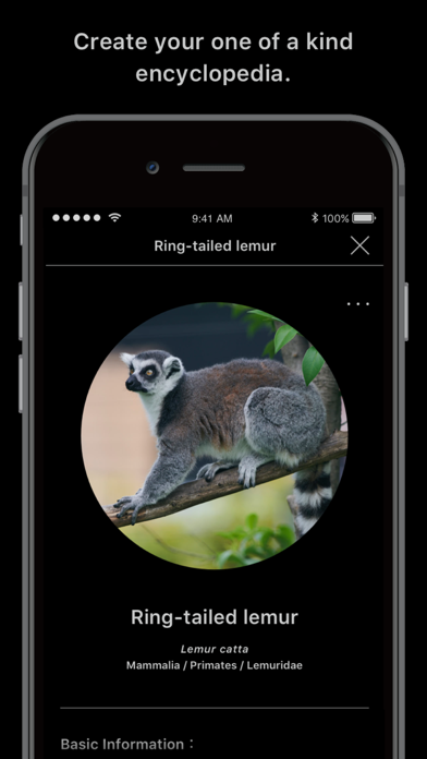 LINNÉ LENS - AI Encyclopedia screenshot 1