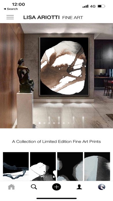Lisa Ariotti Fine Art screenshot 1
