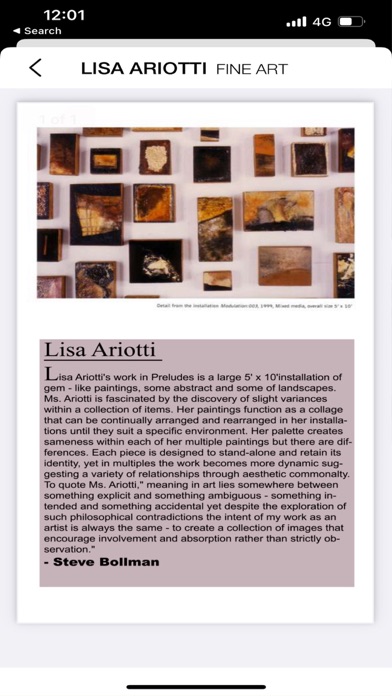 Lisa Ariotti Fine Art screenshot 3