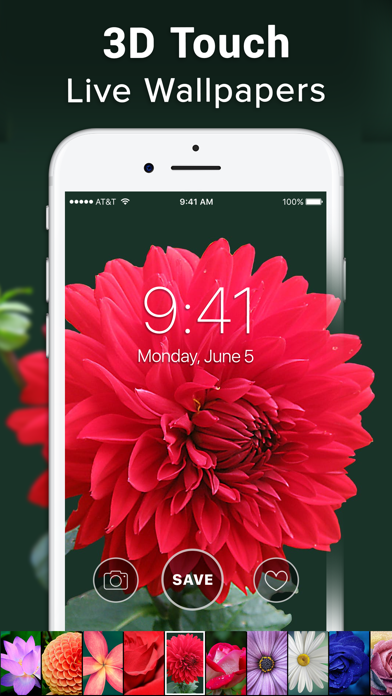 Live Wallpaper 4K ‼ screenshot 3