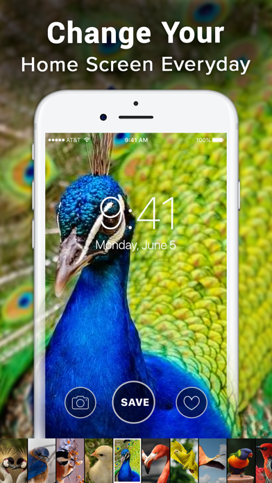 Live Wallpaper 4K ‼ screenshot 1