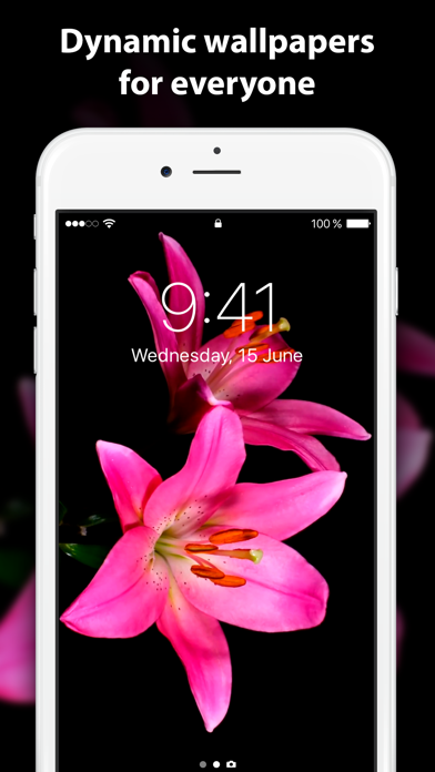 Live Wallpaper ∘ for Me screenshot 2