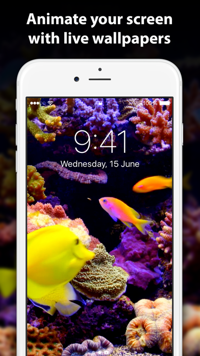 Live Wallpaper ∘ for Me screenshot 5