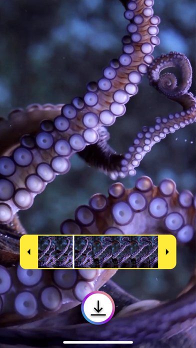 Live Wallpaper Maker Themes screenshot 2