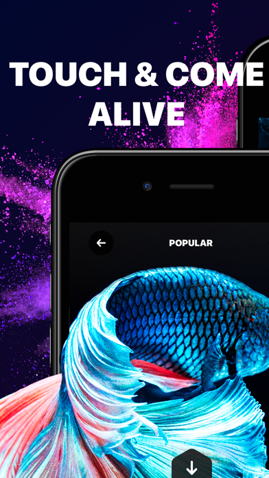 Live Wallpaper & Wallpapers HD screenshot 1