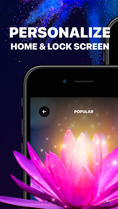 Live Wallpaper & Wallpapers HD screenshot 3