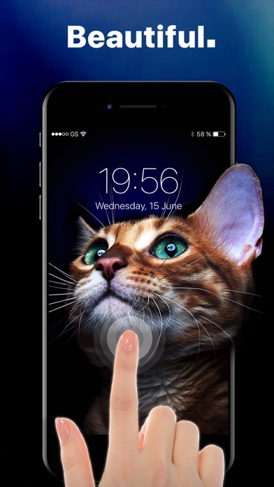 Live Wallpaper X screenshot 5