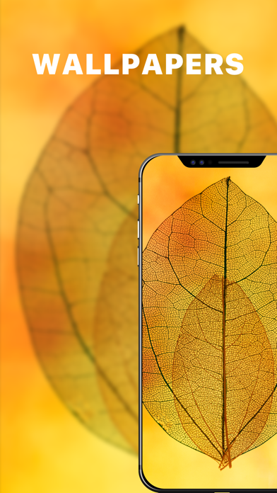 Live Wallpapers 4K & Themes screenshot 4