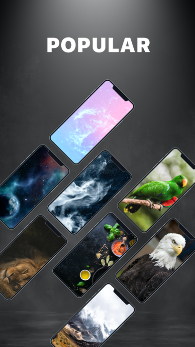 Live Wallpapers 4K & Themes screenshot 2