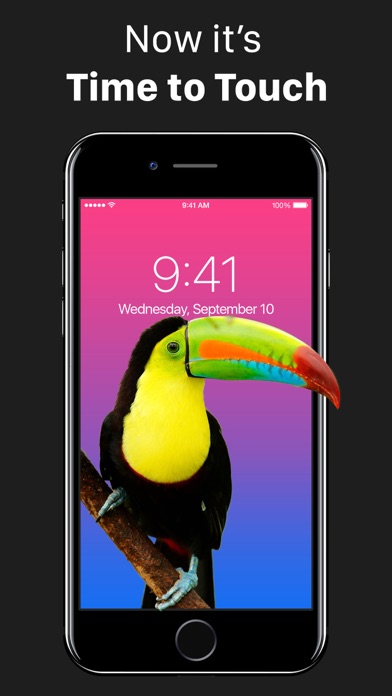 Live Wallpapers Forever screenshot 5