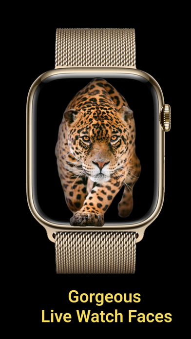 Live Watch Faces Gallery #1 screenshot 4