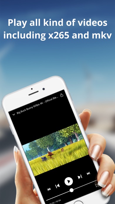 Loader (Media Player) screenshot 1