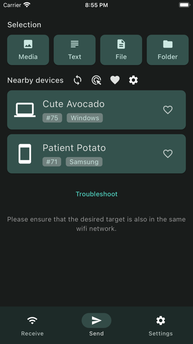 LocalSend screenshot 2
