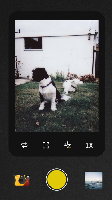 Locca - Vintage Film Camera screenshot 6
