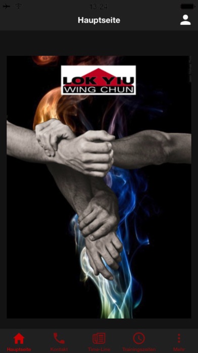 Lok Yiu Wing Chun screenshot 3