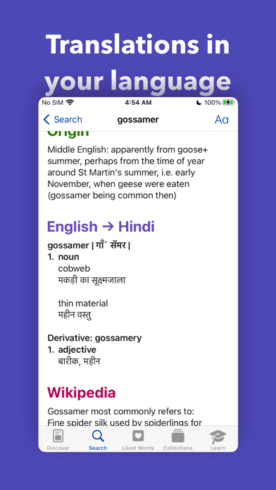 LookUp: English Dictionary screenshot 2