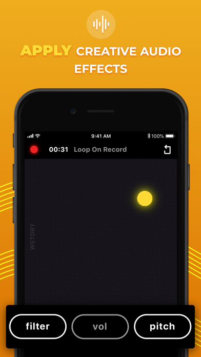 Loop ON-Looper & Jam Recorder screenshot 3