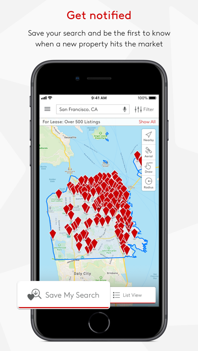 LoopNet Real Estate screenshot 1