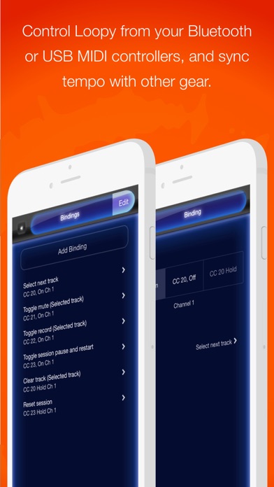 Loopy HD: Looper screenshot 2