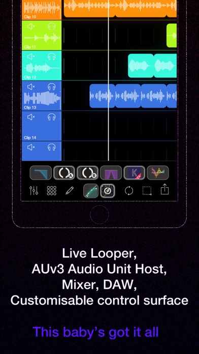 Loopy Pro: Looper DAW Sampler screenshot 2