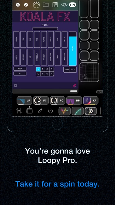Loopy Pro: Looper DAW Sampler screenshot 1