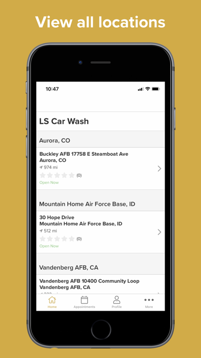 LS Auto Detail screenshot 1