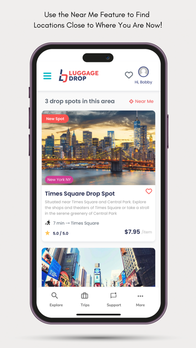 Luggage Drop screenshot 2