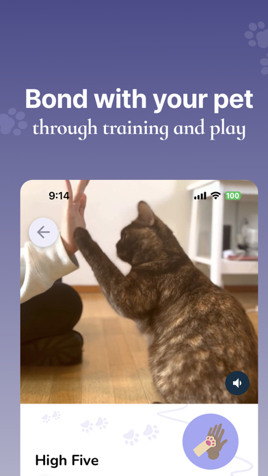 Lumsters: Daily Pet Care screenshot 7