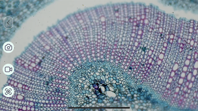 M-Scope screenshot 1