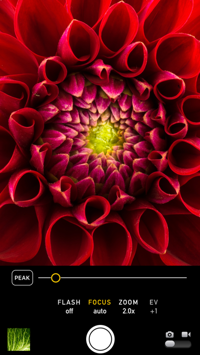 Macro Mode screenshot 4
