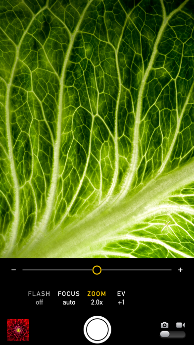 Macro Mode screenshot 3