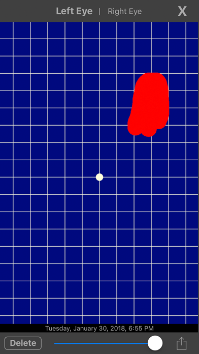MaculaTester screenshot 3