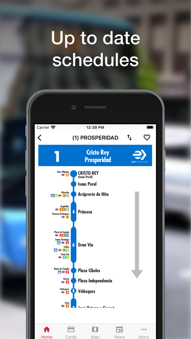 Madrid Transport - TTP screenshot 5
