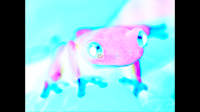 MagicPicture - Trick Your Eyes screenshot 3