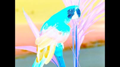 MagicPicture - Trick Your Eyes screenshot 2