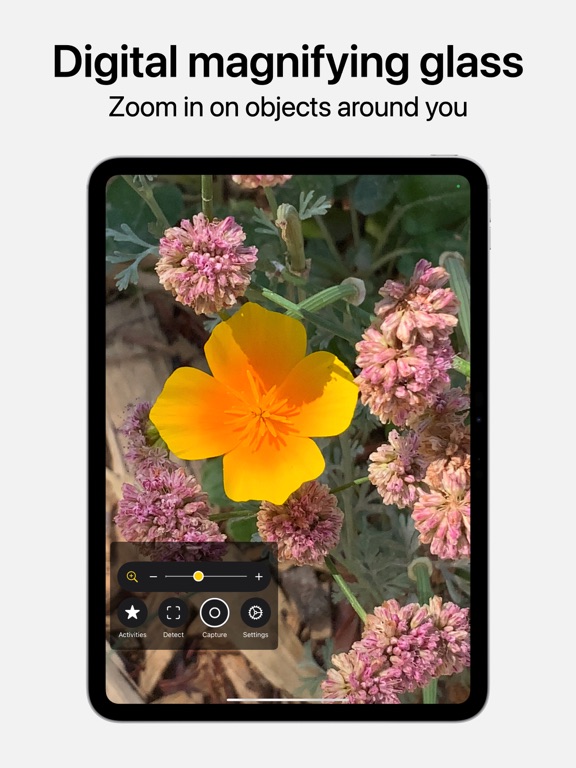 Magnifier screenshot 2