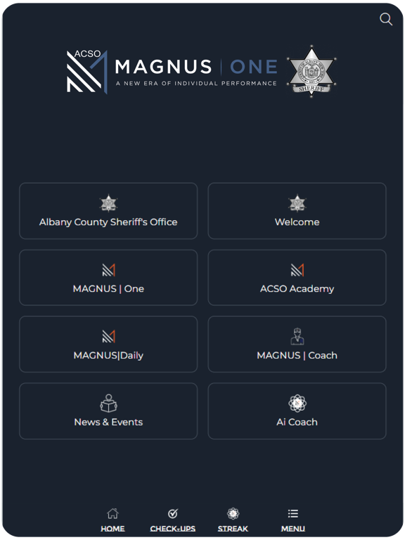 MAGNUS ONE ACSO screenshot 7