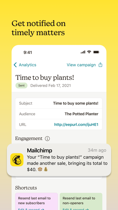 Mailchimp Email Marketing screenshot 5