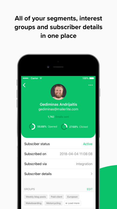 MailerLite Classic Manager screenshot 4
