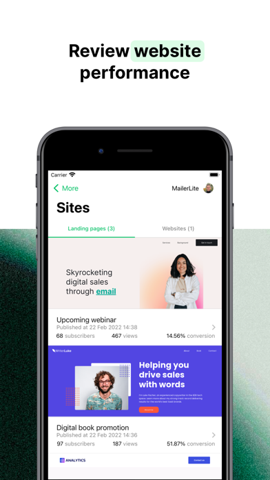 MailerLite Manager screenshot 2