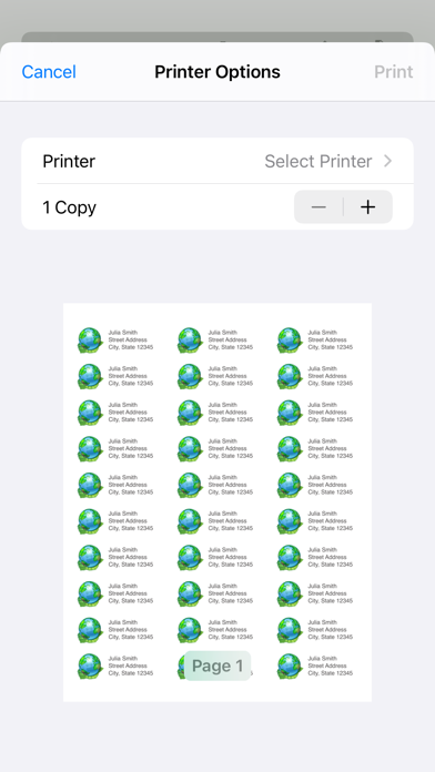Mailing Label Designer screenshot 5
