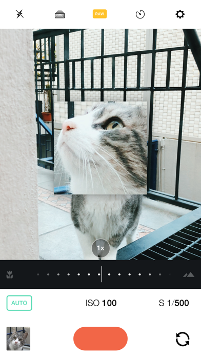 Manual – RAW Camera screenshot 3