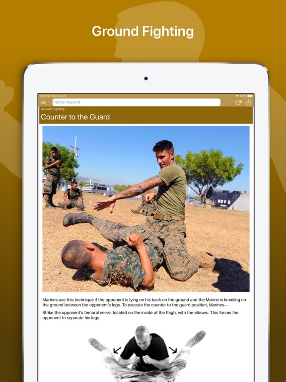 Marine Martial Arts screenshot 3