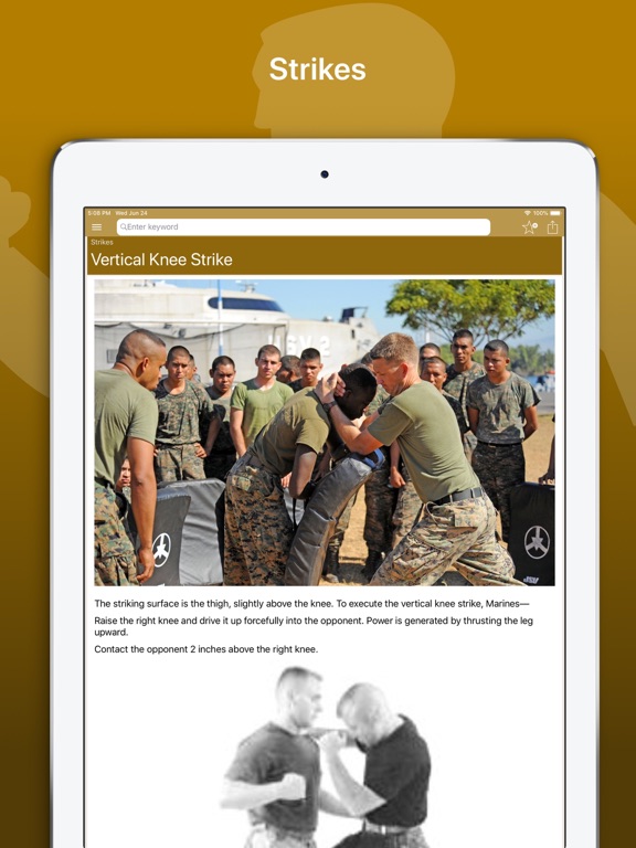 Marine Martial Arts screenshot 6