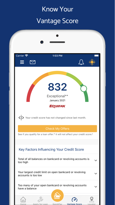Mariner Finance screenshot 3